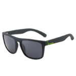 Marco Negro Hoja Gris Plata