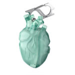 Verde Transparente