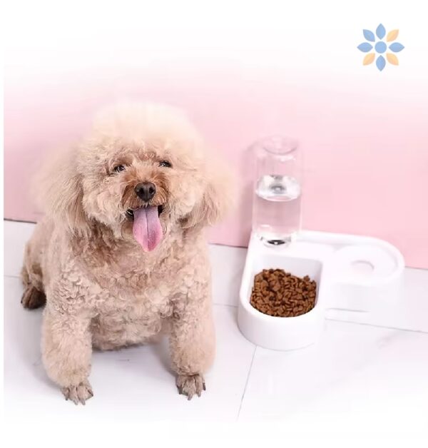 Bebedero Dispensador Automático para Mascotas Compacto