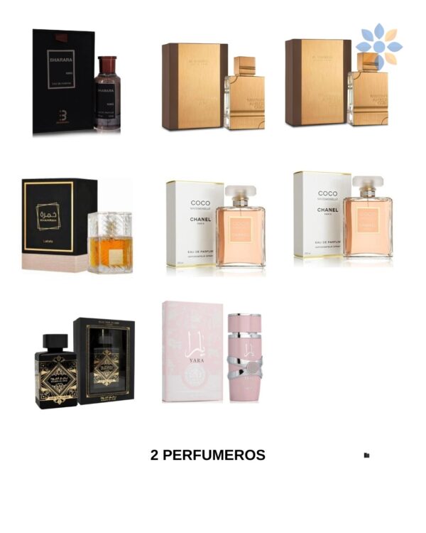 Set de Perfumes Variedad Elegante y Versátil