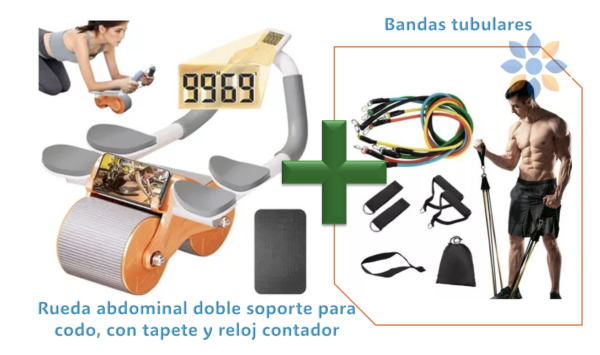Rueda Abdominal Doble Soporte + Bandas Tubulares Resistencia