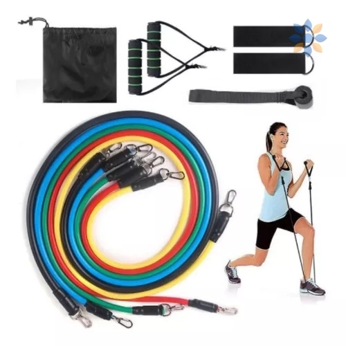 Rueda Abdominal Doble Soporte + Bandas Tubulares Resistencia